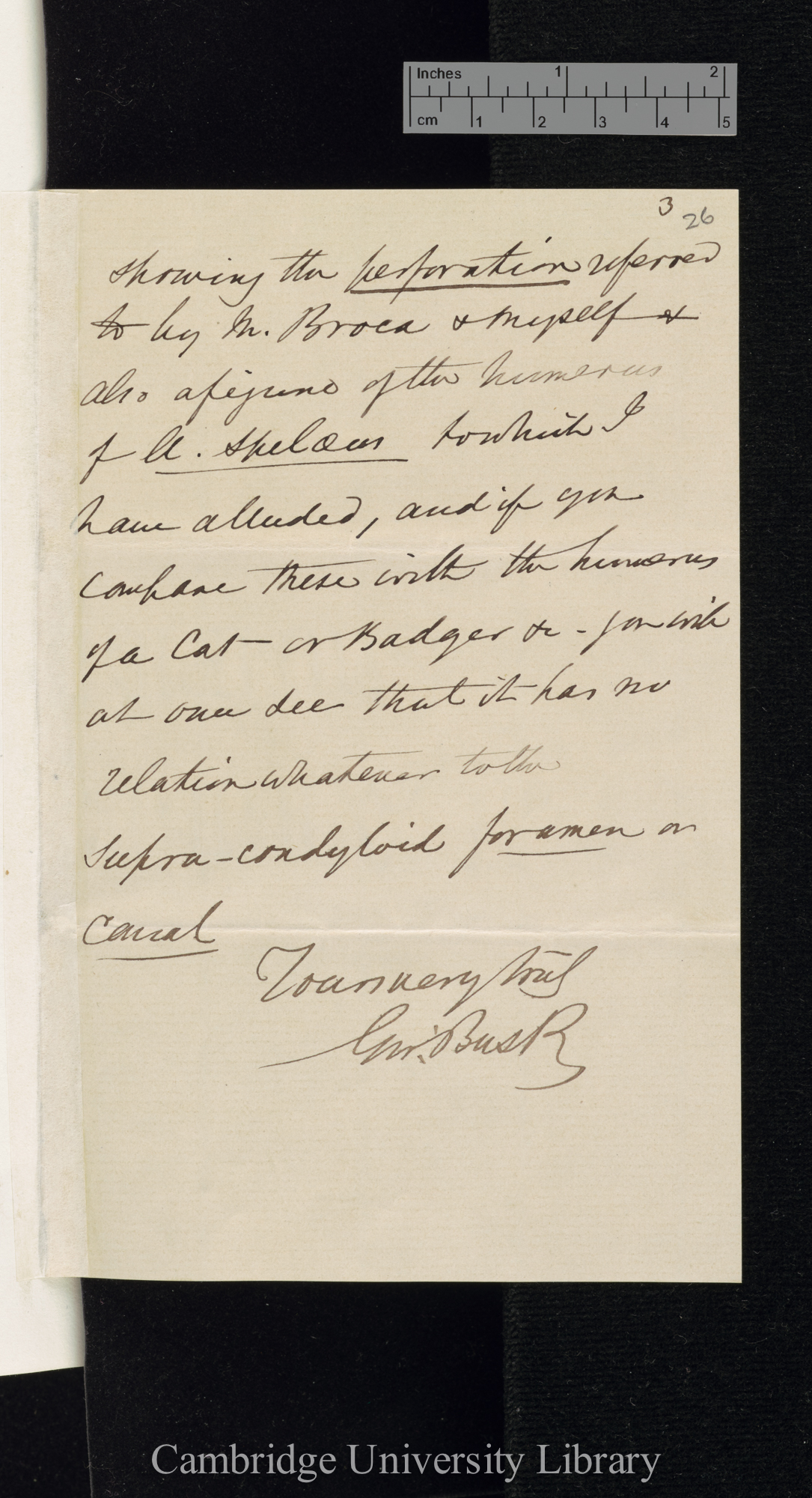 George Busk to Charles Robert Darwin