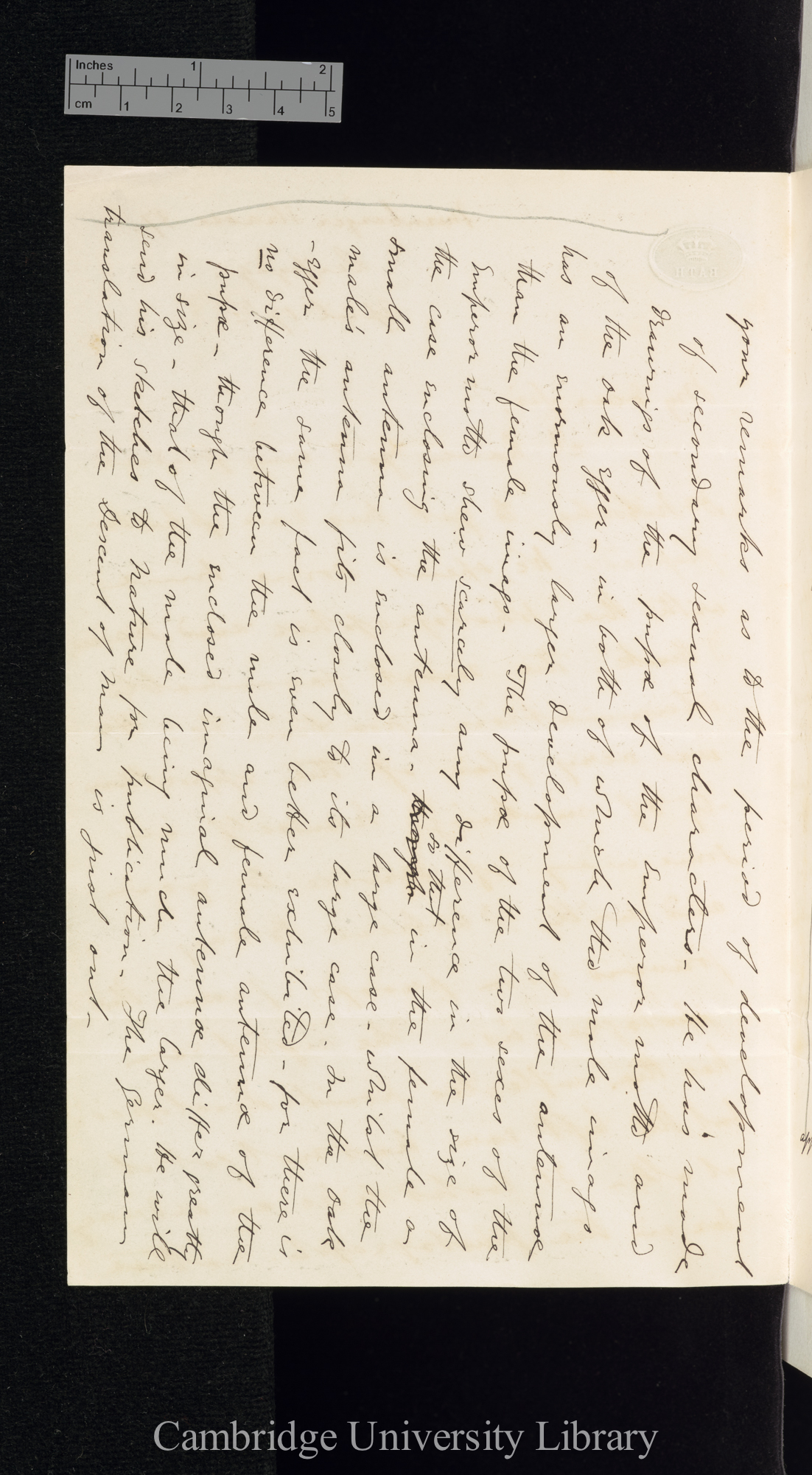 Edwin Ray Lankester to Charles Robert Darwin