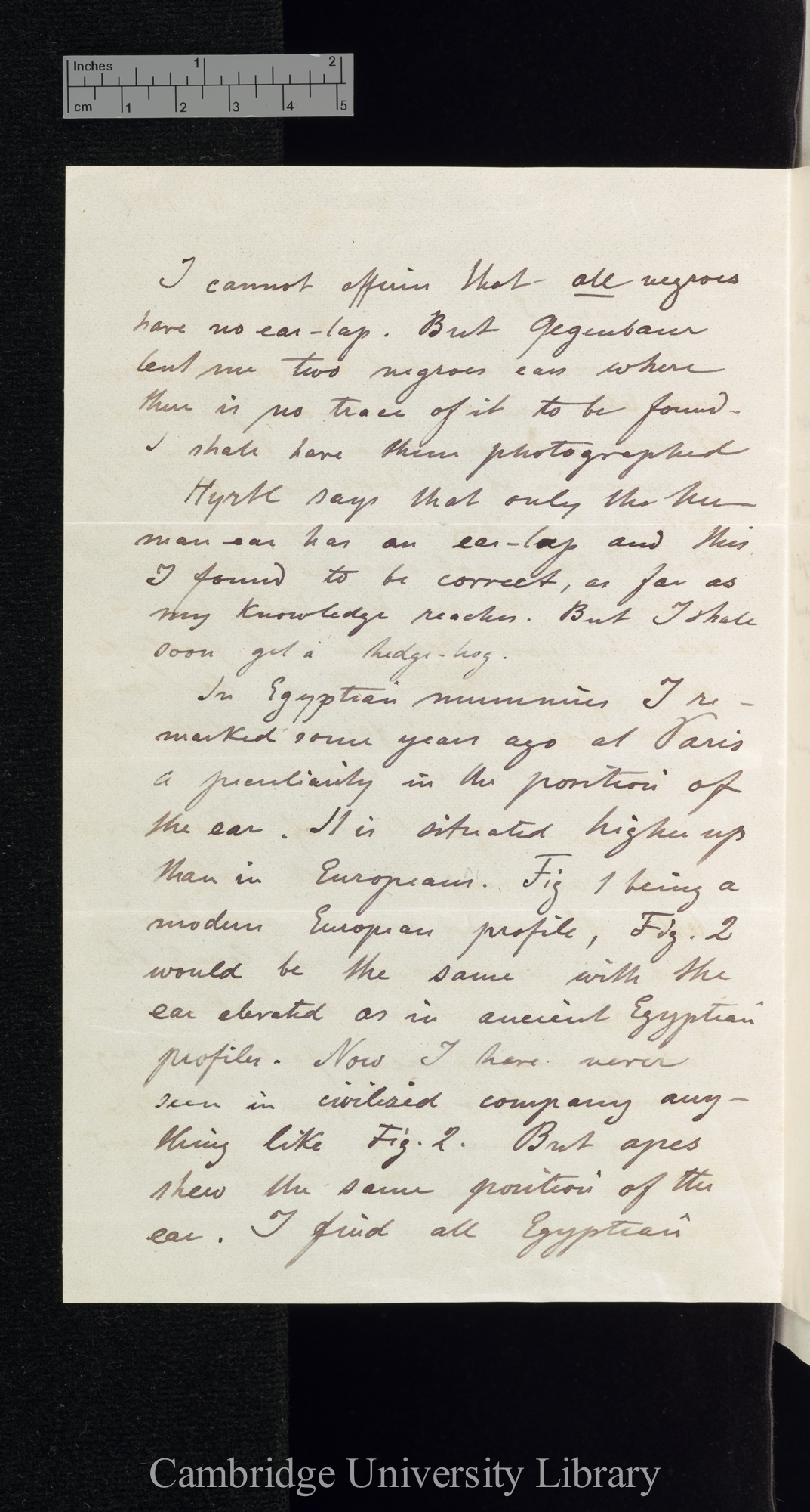 William Thierry Preyer to Charles Robert Darwin