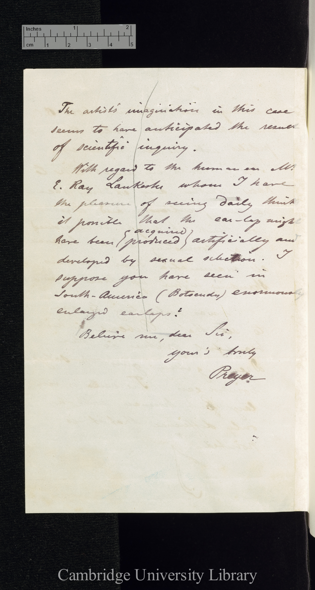 William Thierry Preyer to Charles Robert Darwin