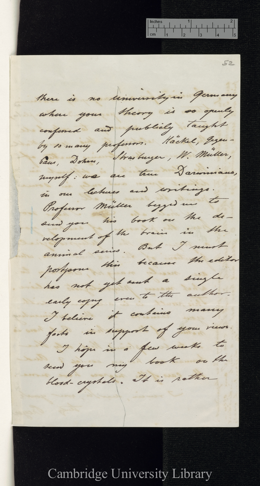 William Thierry Preyer to Charles Robert Darwin