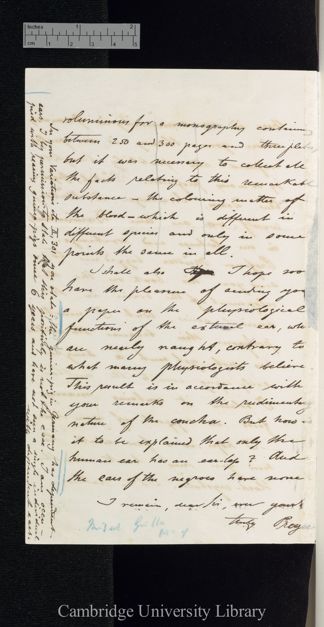 William Thierry Preyer to Charles Robert Darwin