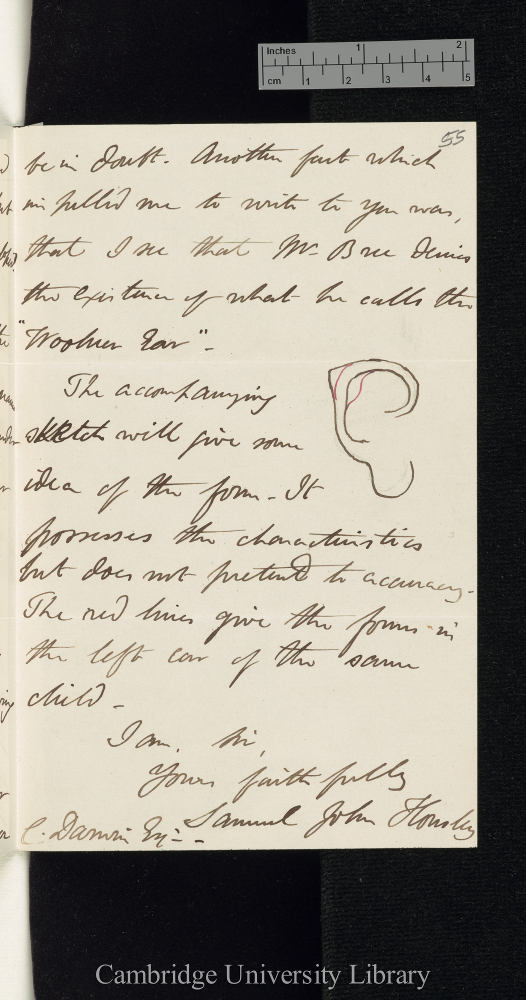 Samuel John Housley to Charles Robert Darwin