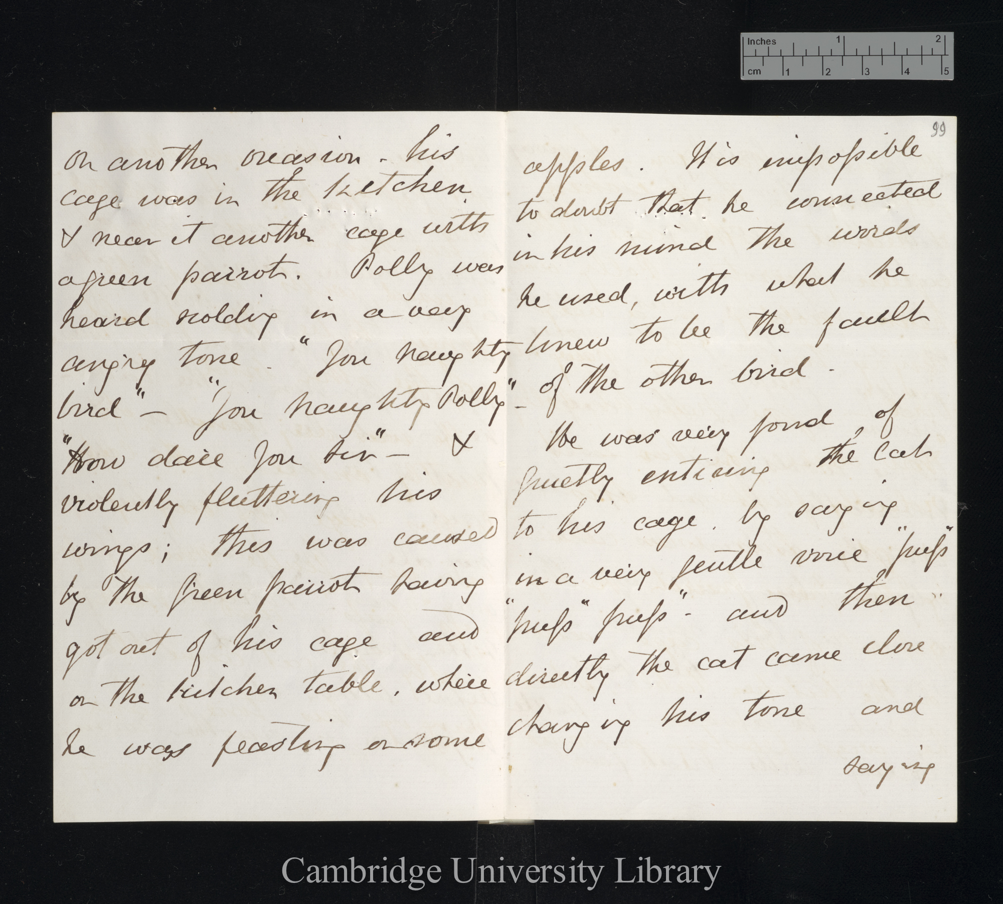 Sir Bartholomew James Sulivan to Charles Robert Darwin