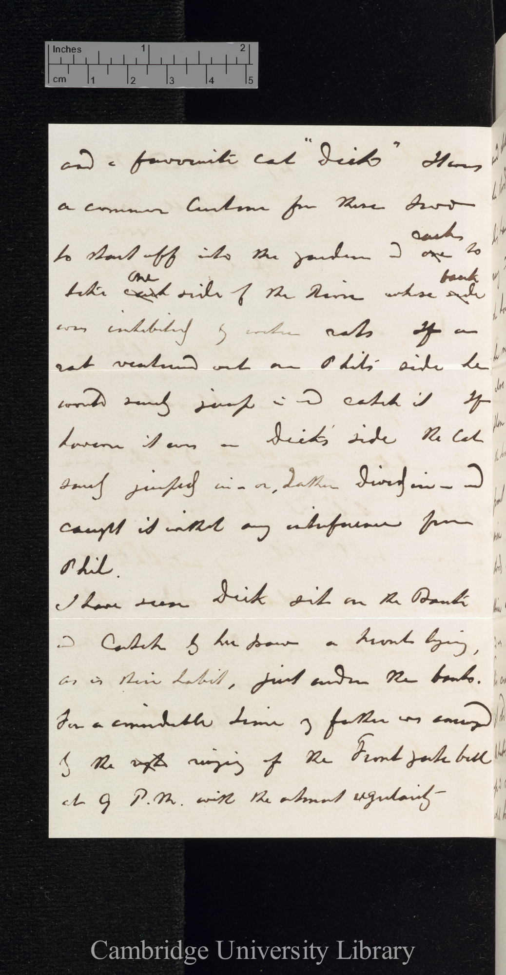 George Frederick Ansell to Charles Robert Darwin