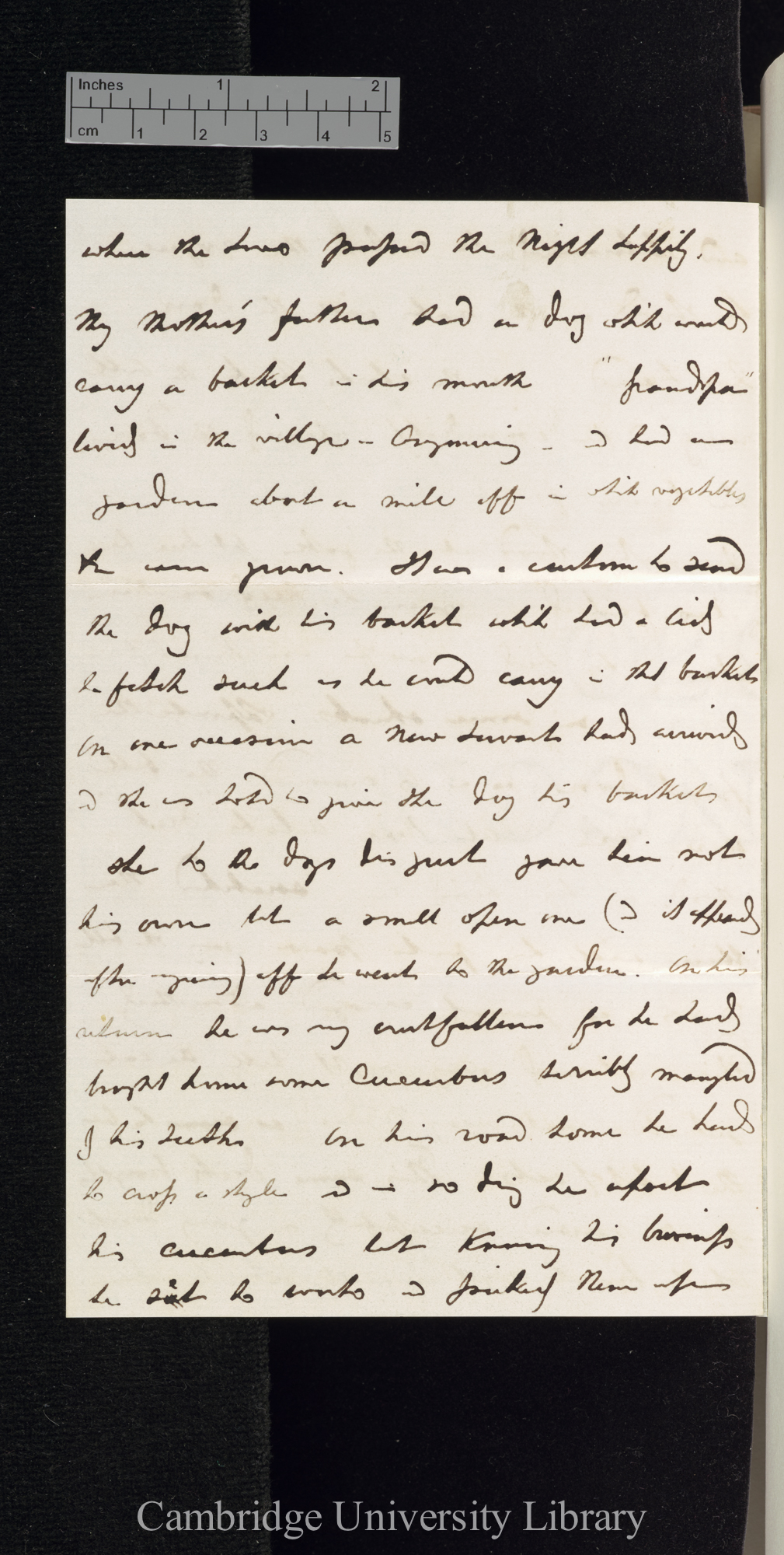 George Frederick Ansell to Charles Robert Darwin