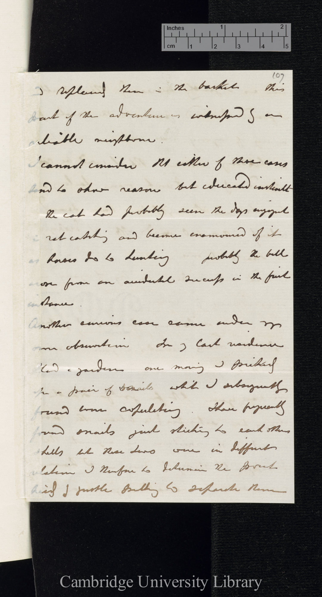 George Frederick Ansell to Charles Robert Darwin