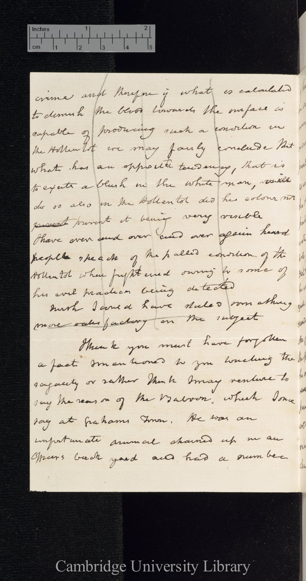 Sir Andrew Smith to Charles Robert Darwin