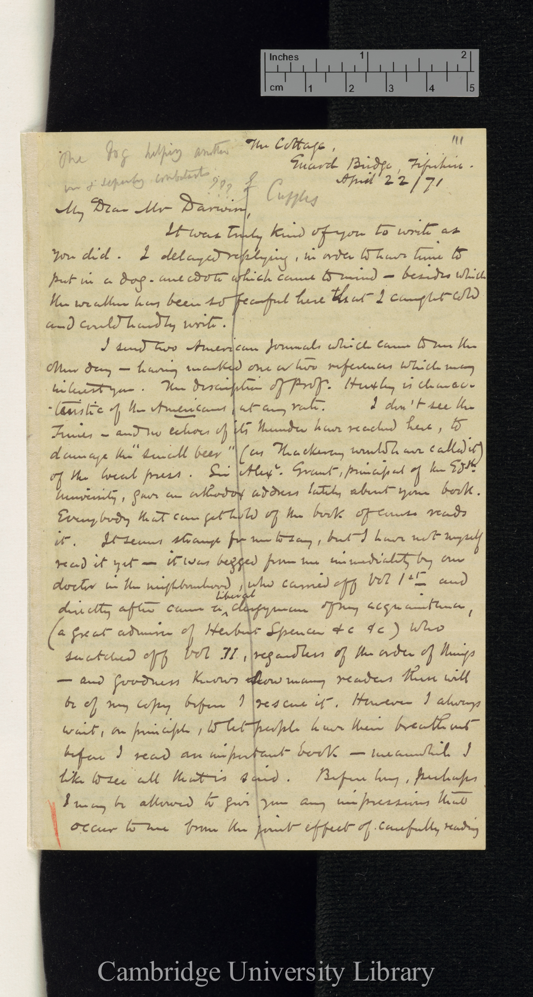 George Cupples to Charles Robert Darwin