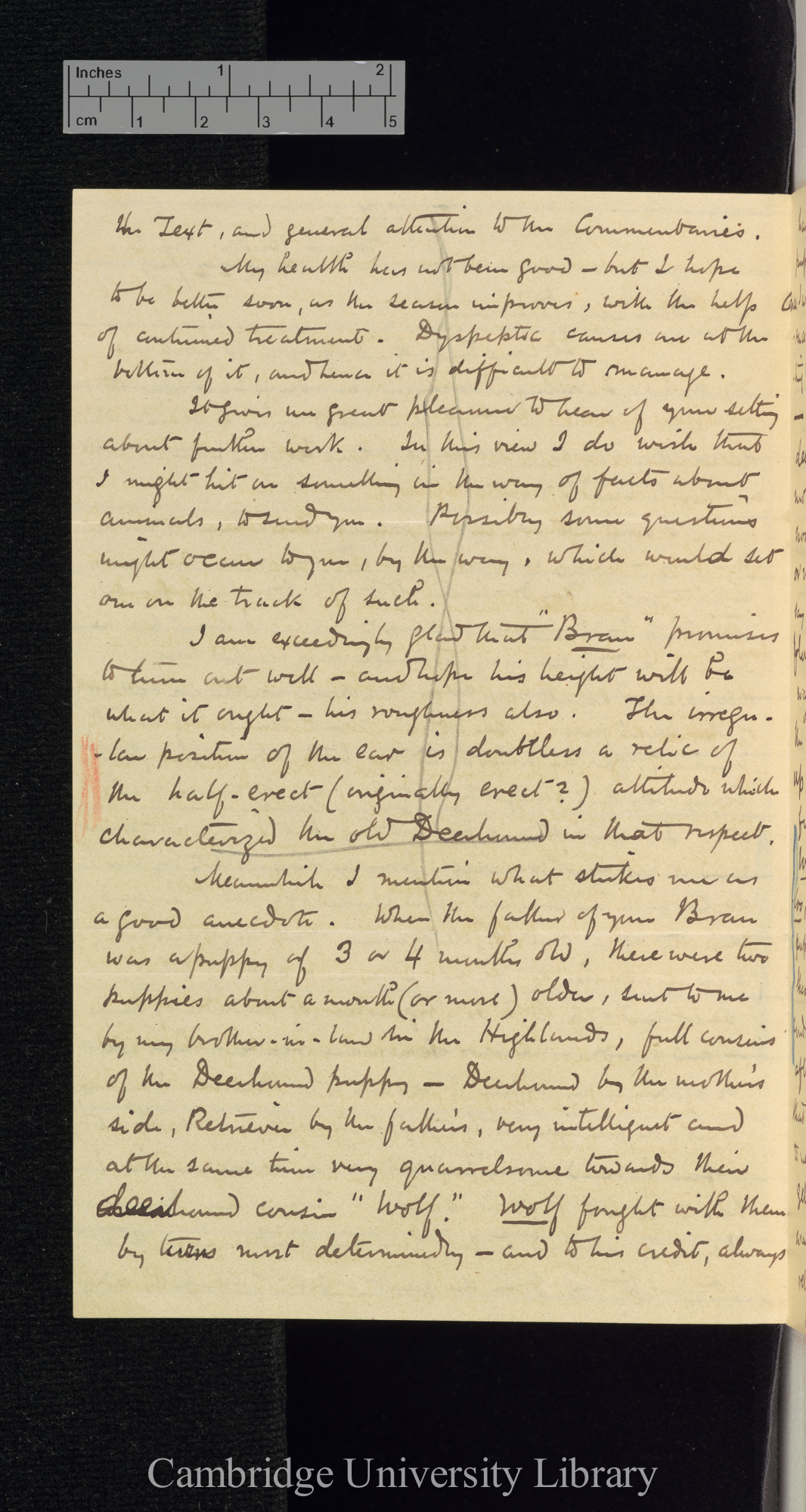 George Cupples to Charles Robert Darwin