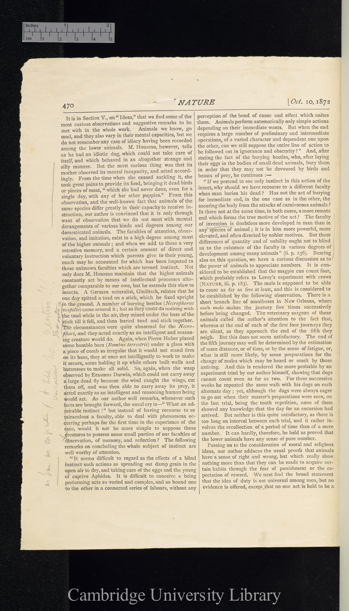 Wallace, Alfred Russel. Review of Houzeau J C &#39;Études sur les facultés mentales des animaux comparées à celles de l&#39;homme&#39; &#39;Nature&#39; 6: 470