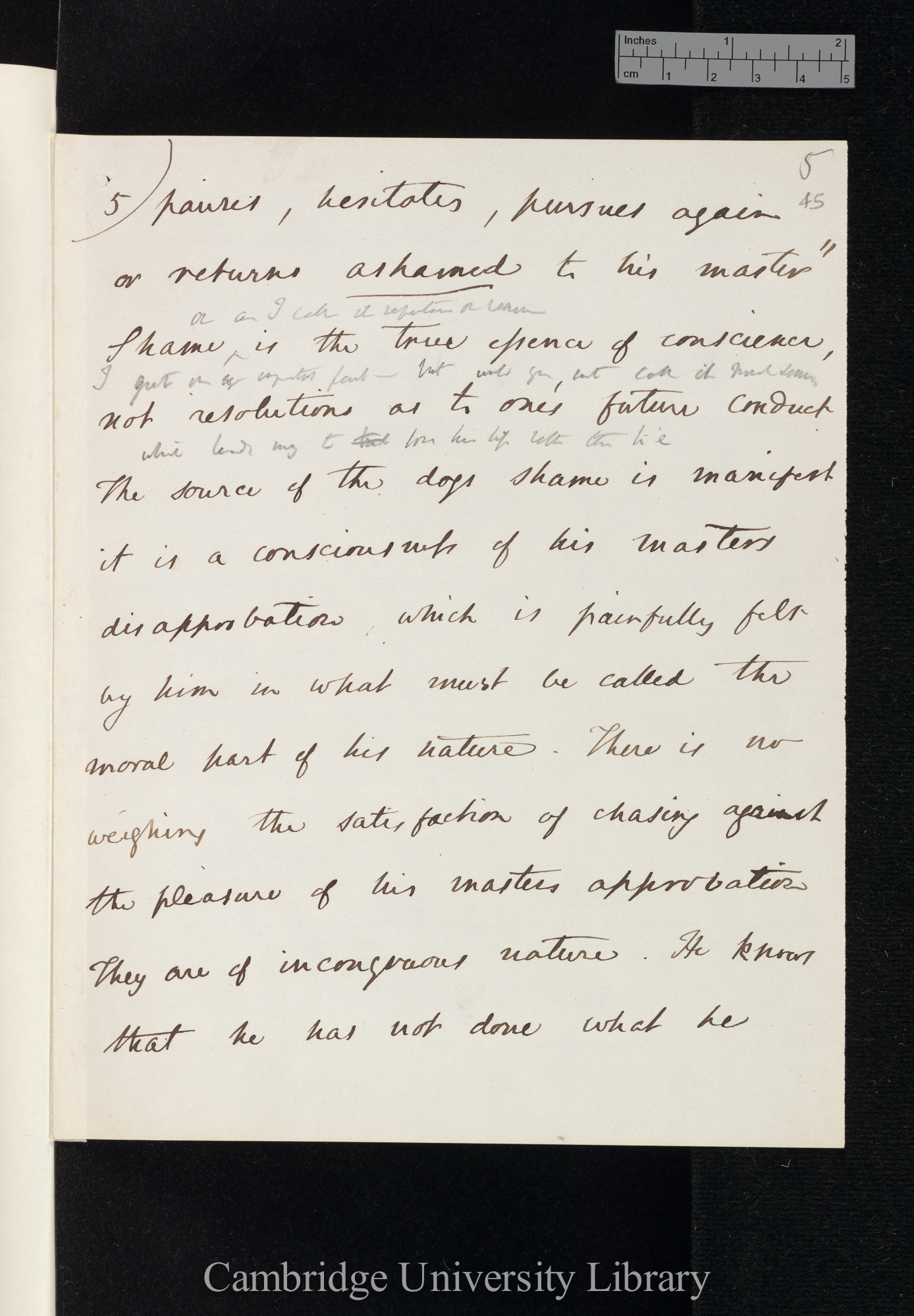 [Hensleigh Wedgwood] to Charles Robert Darwin