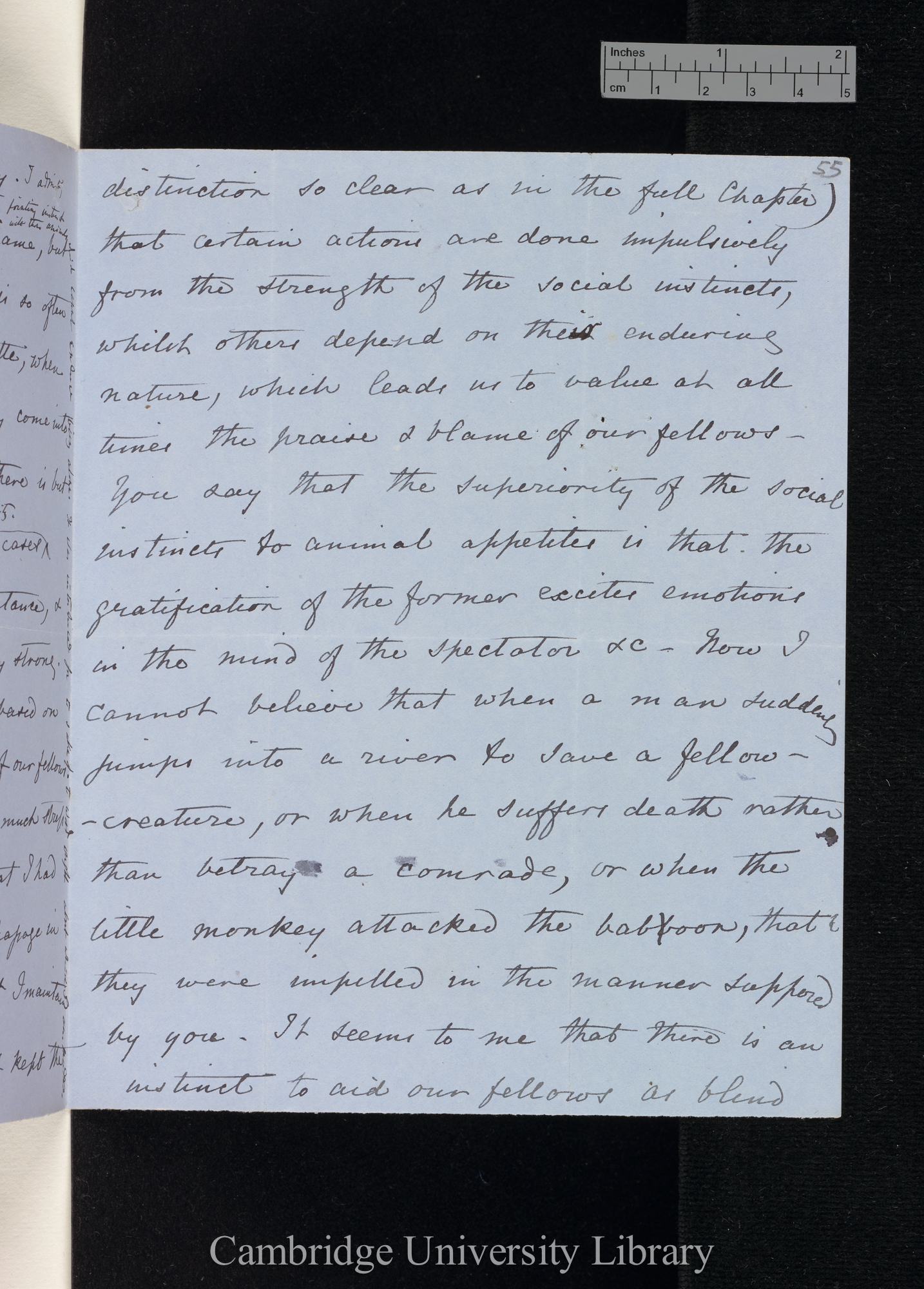 Charles Robert Darwin to Hensleigh Wedgwood