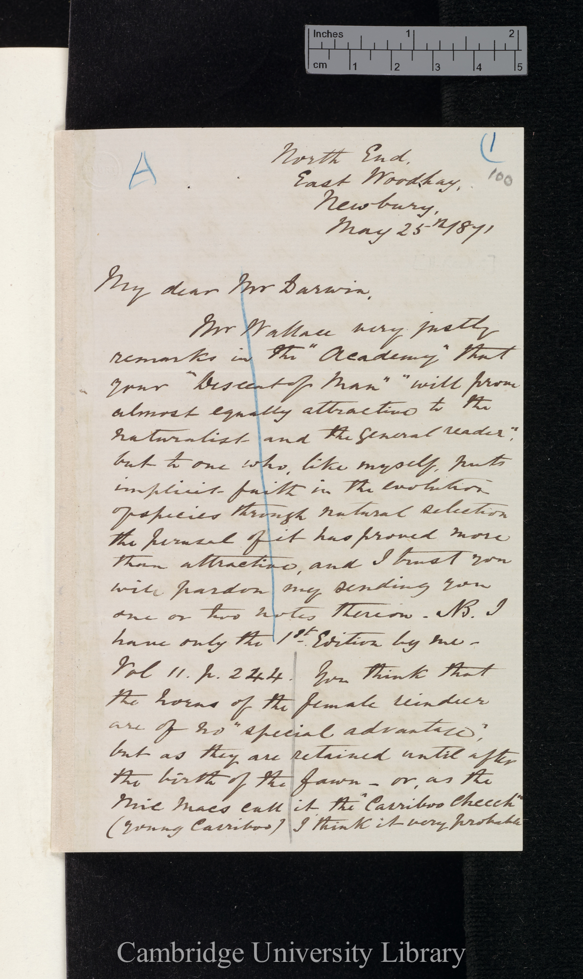 Henry Reeks to Charles Robert Darwin