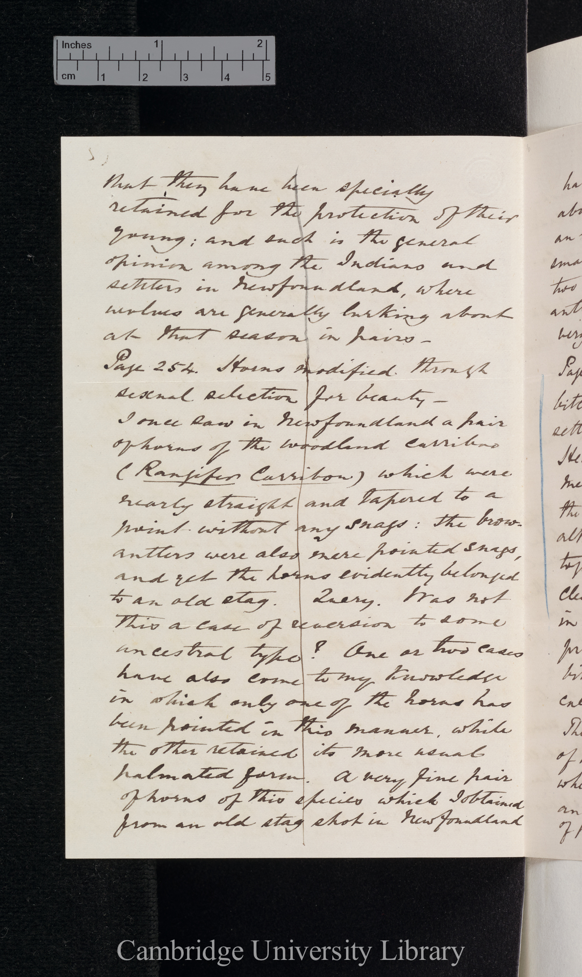 Henry Reeks to Charles Robert Darwin