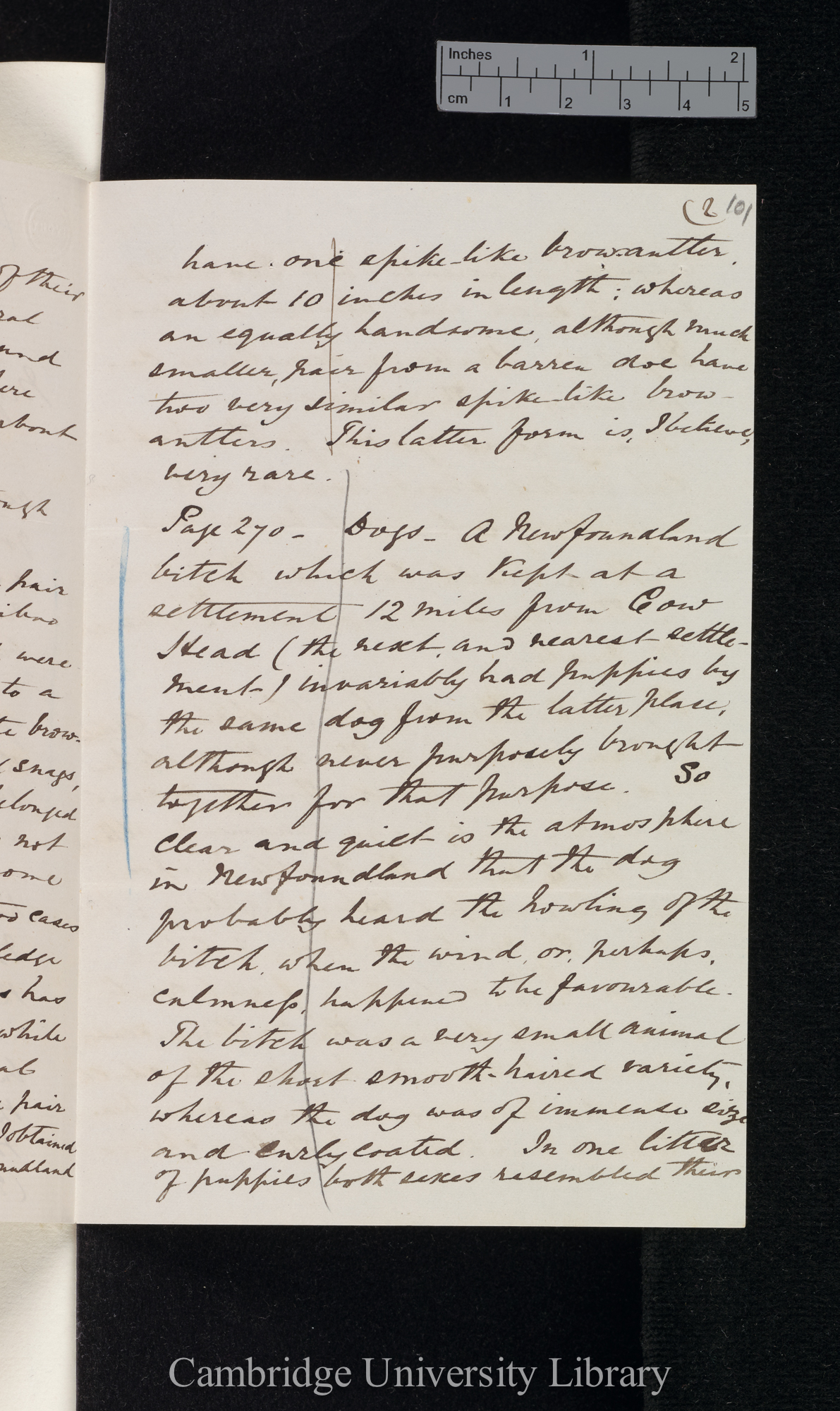 Henry Reeks to Charles Robert Darwin