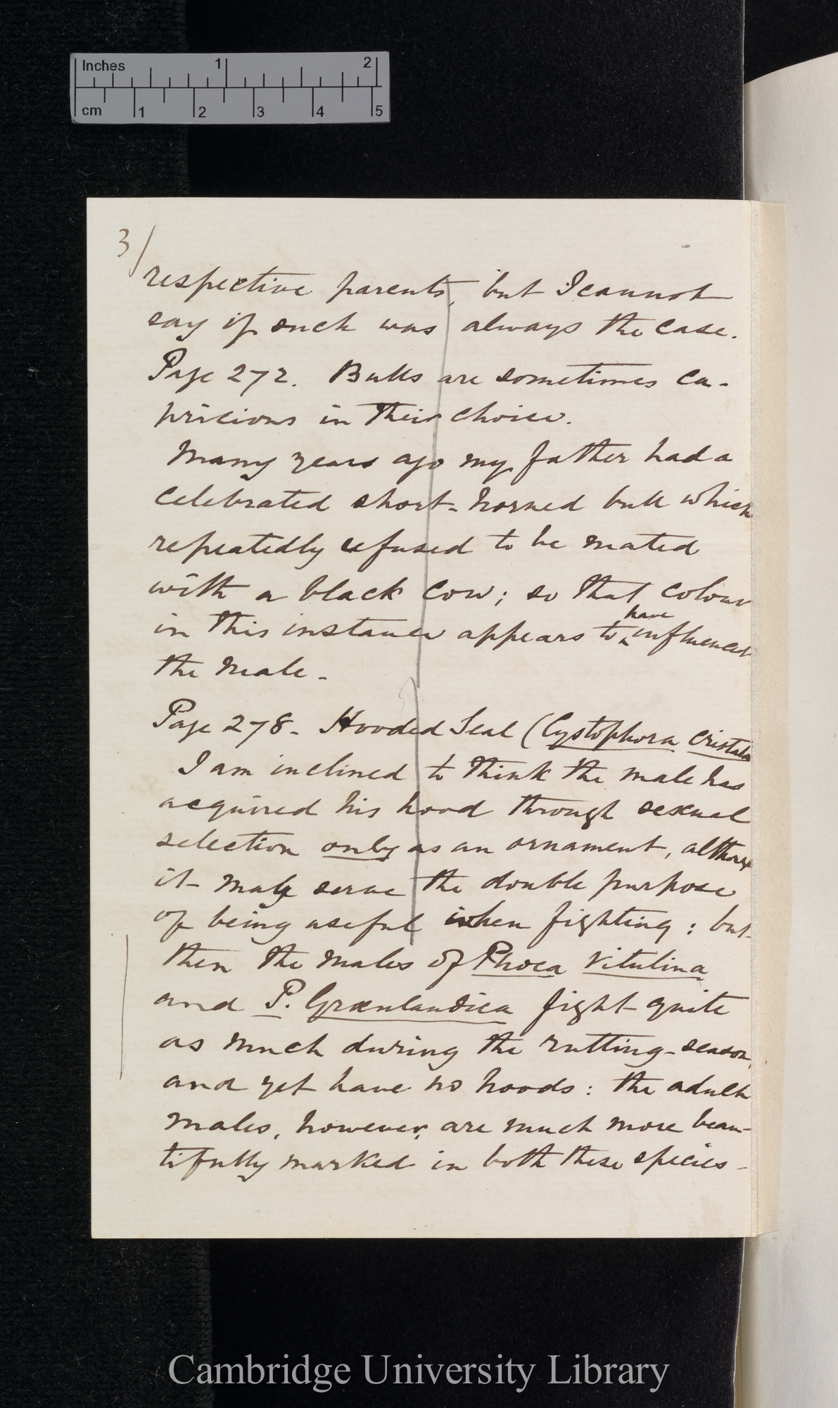 Henry Reeks to Charles Robert Darwin