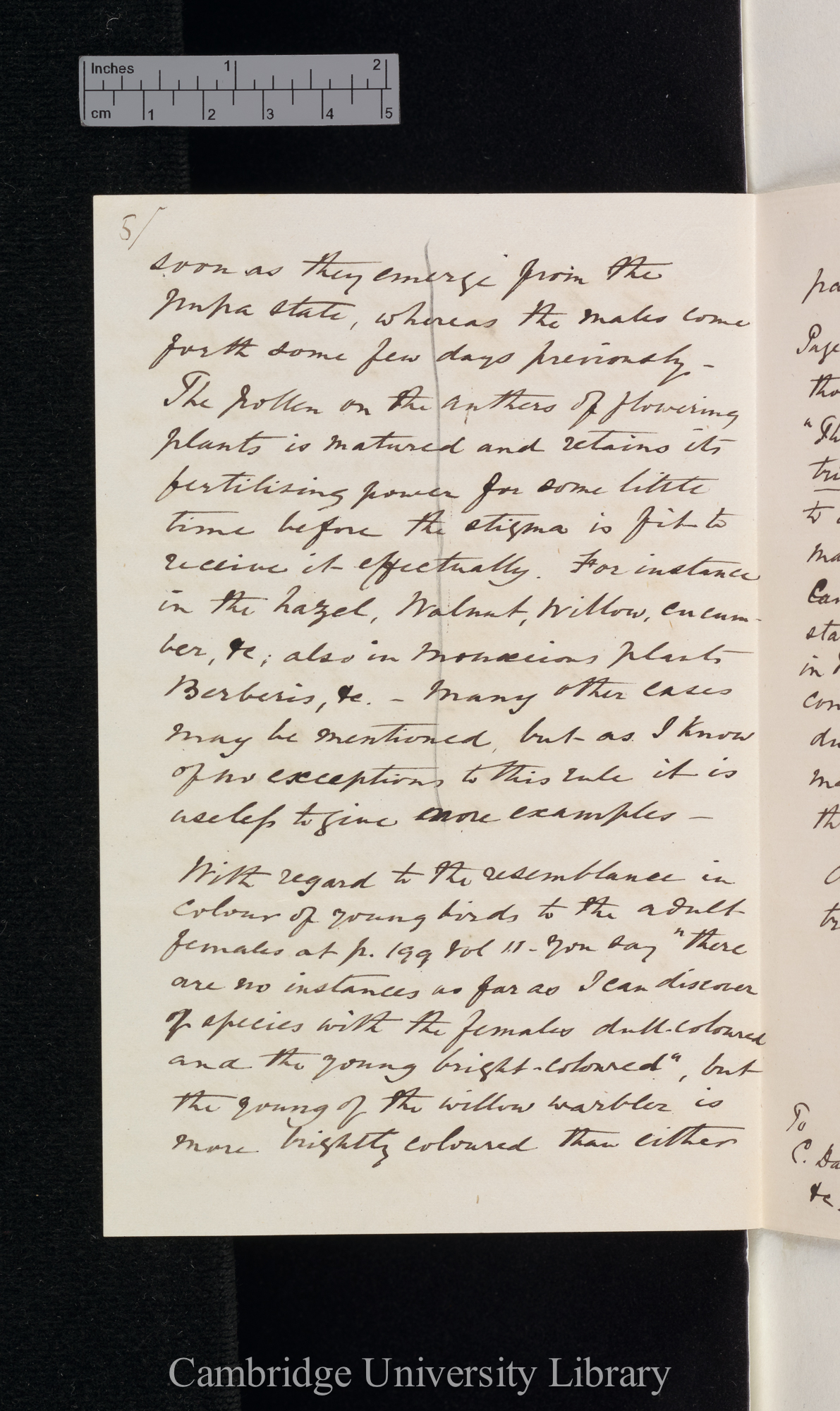 Henry Reeks to Charles Robert Darwin