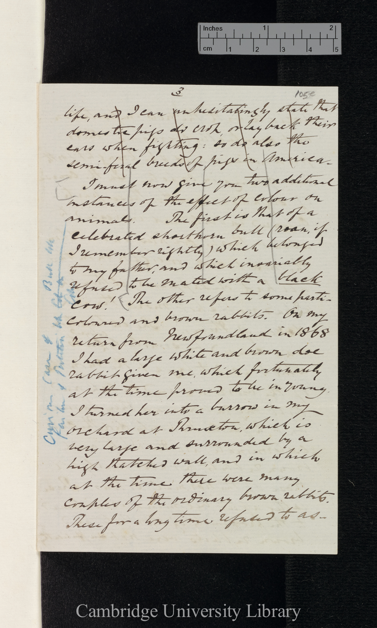 Henry Reeks to Charles Robert Darwin