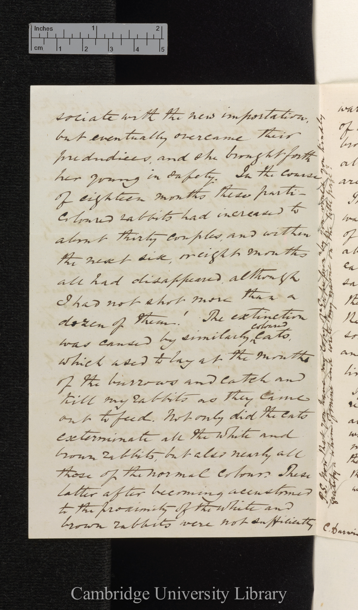 Henry Reeks to Charles Robert Darwin