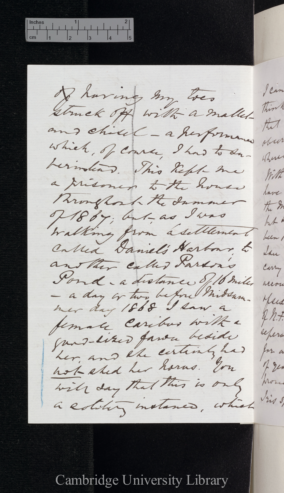 [Henry Reeks] to Charles Robert Darwin