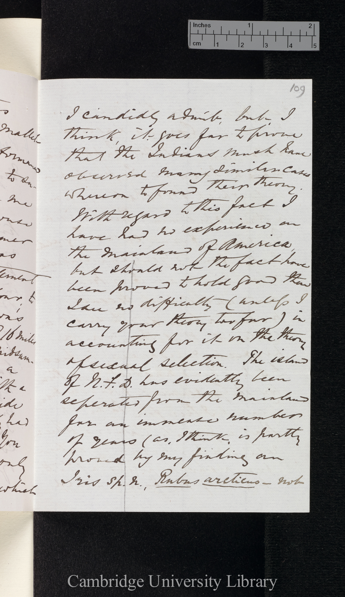 [Henry Reeks] to Charles Robert Darwin