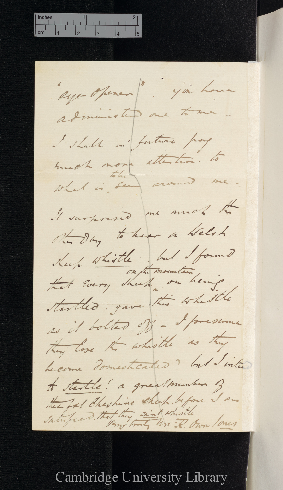 Robert Owen Jones to Charles Robert Darwin