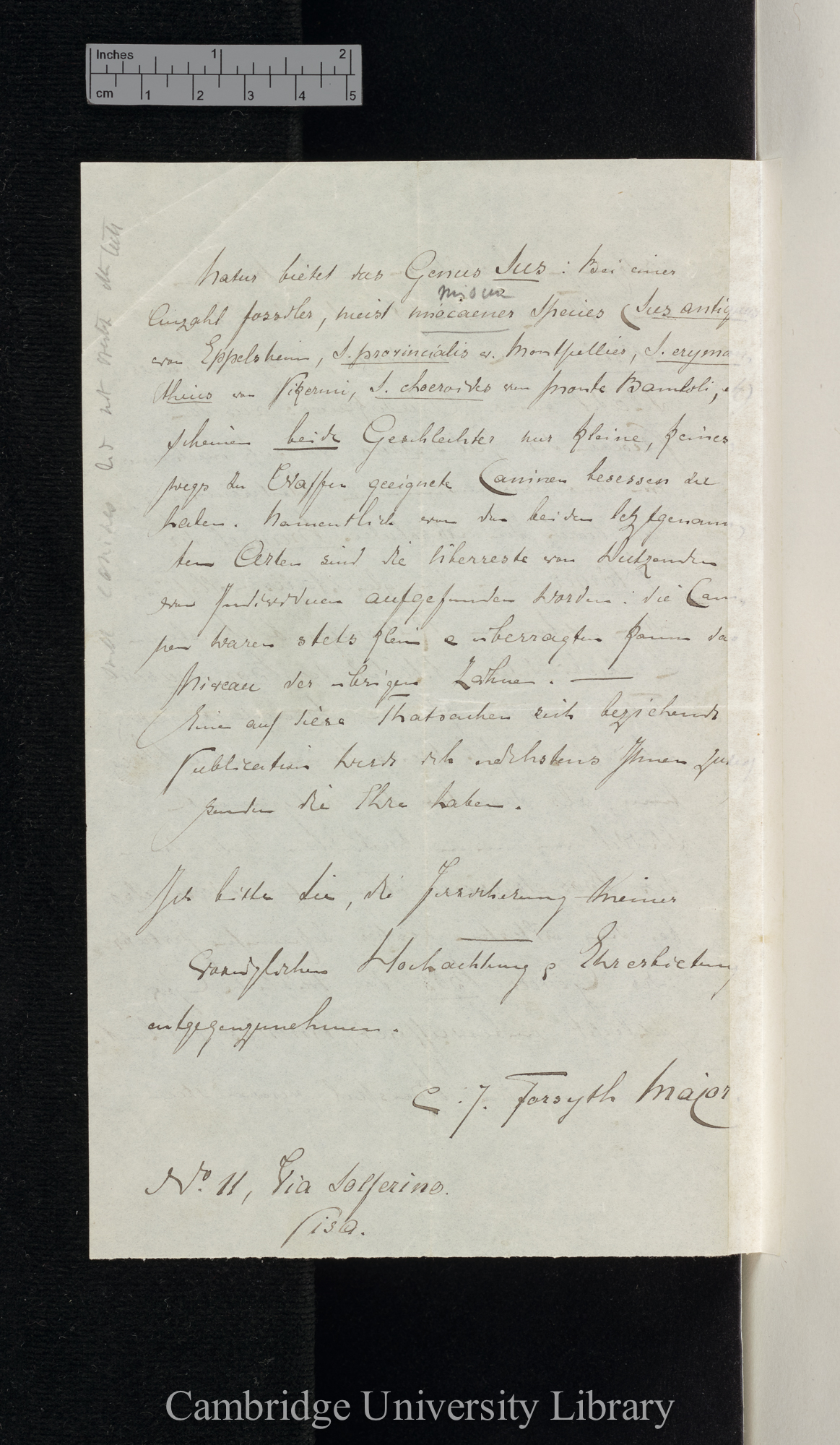 Charles Immanuel Forsyth Major to Charles Robert Darwin