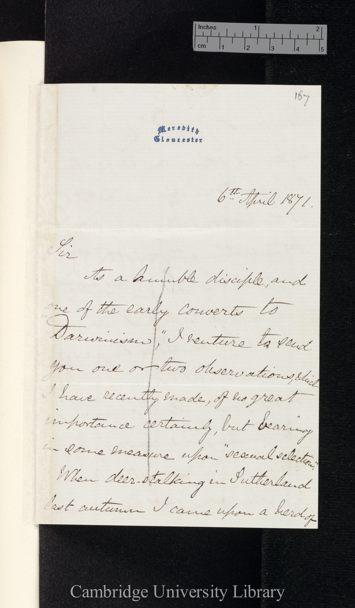 David Wedderburn to Charles Robert Darwin