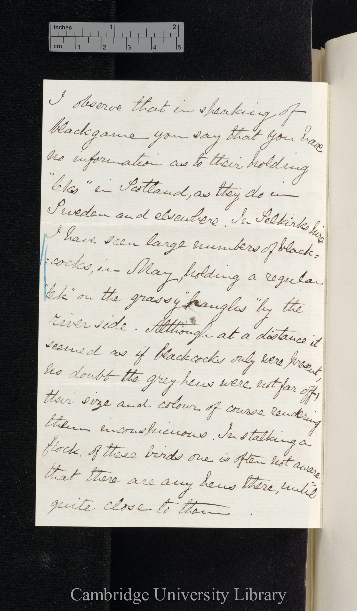 David Wedderburn to Charles Robert Darwin