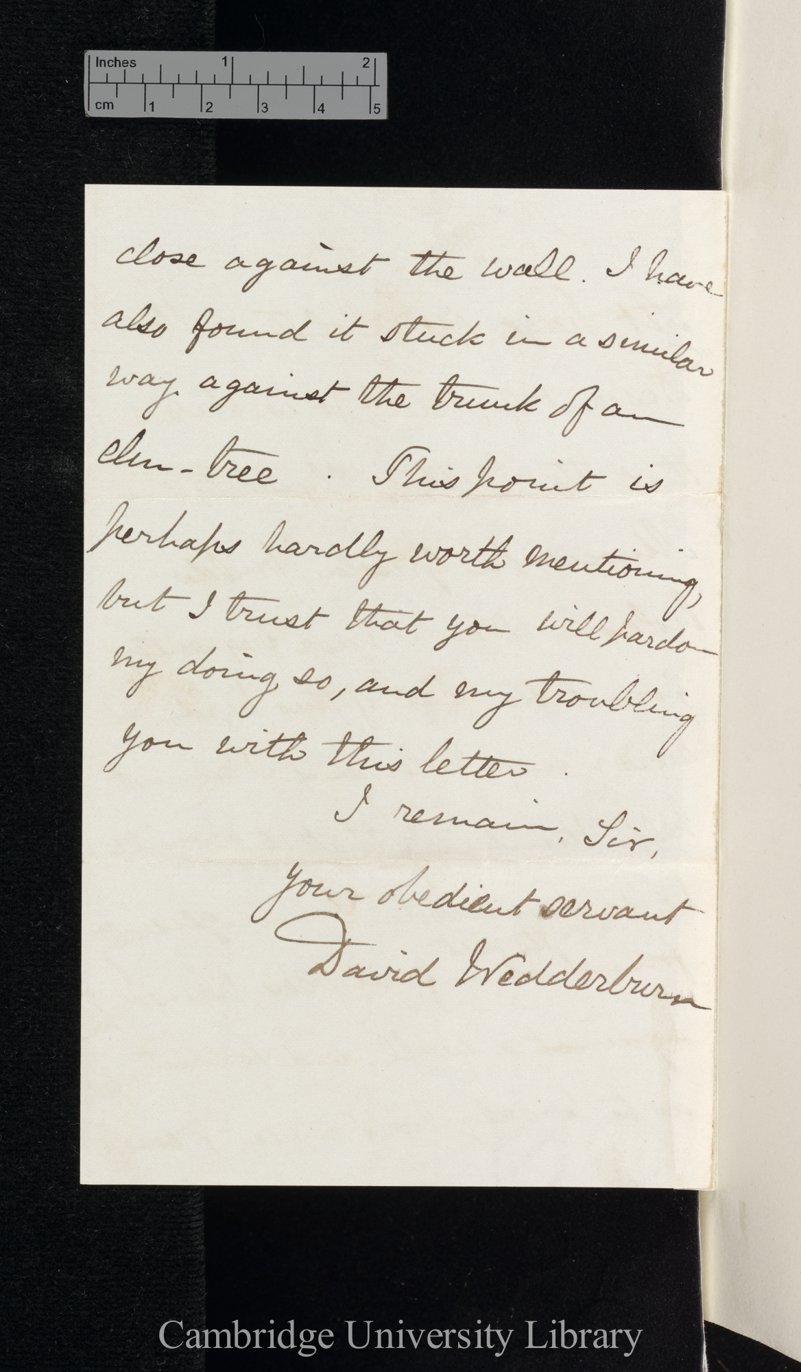 David Wedderburn to Charles Robert Darwin