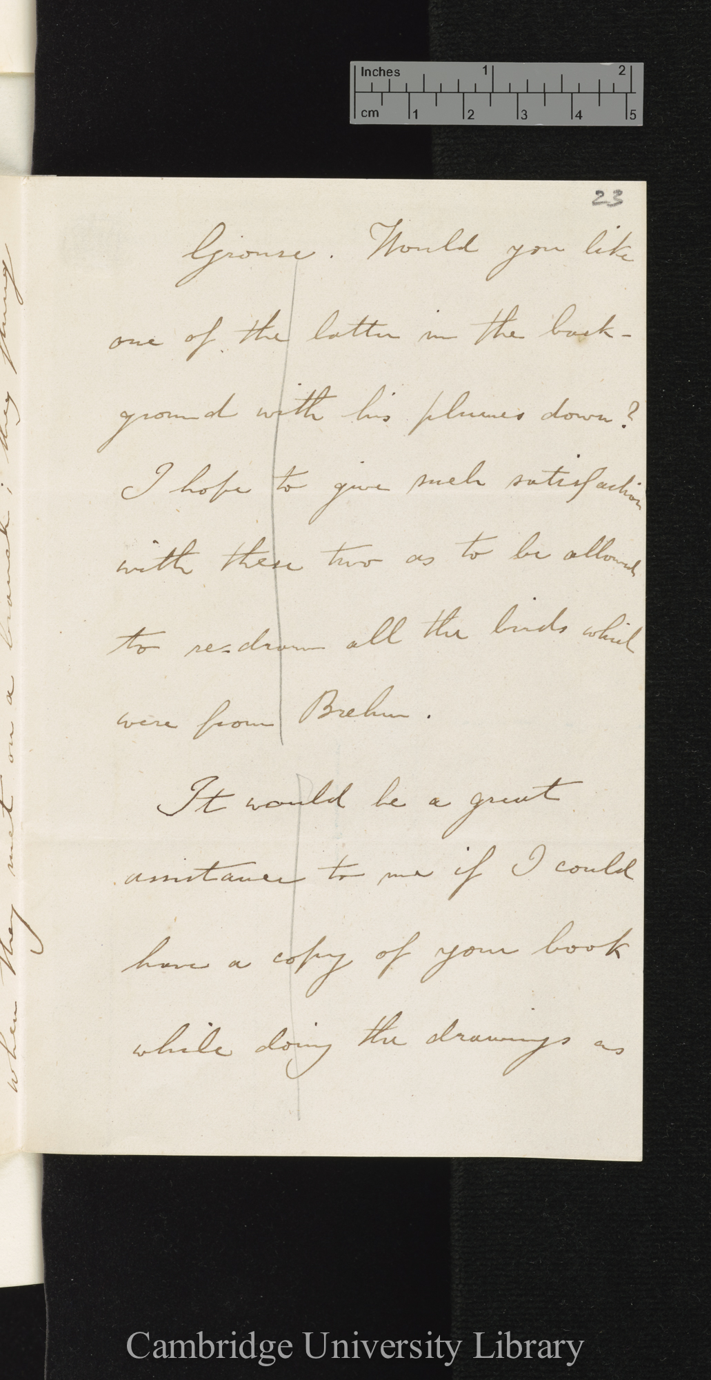 Thomas Wood to Charles Robert Darwin