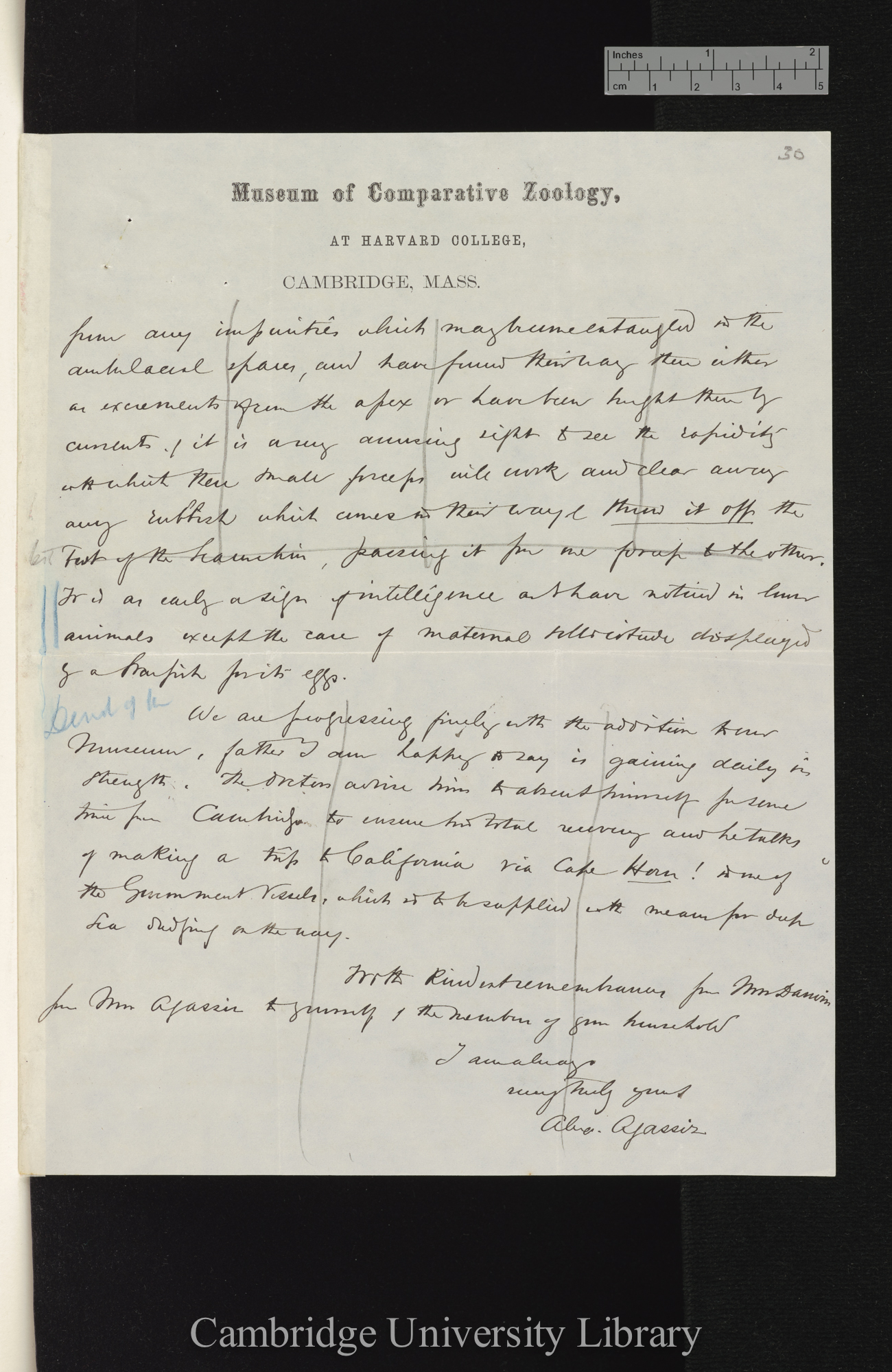 Alexander Agassiz to Charles Robert Darwin