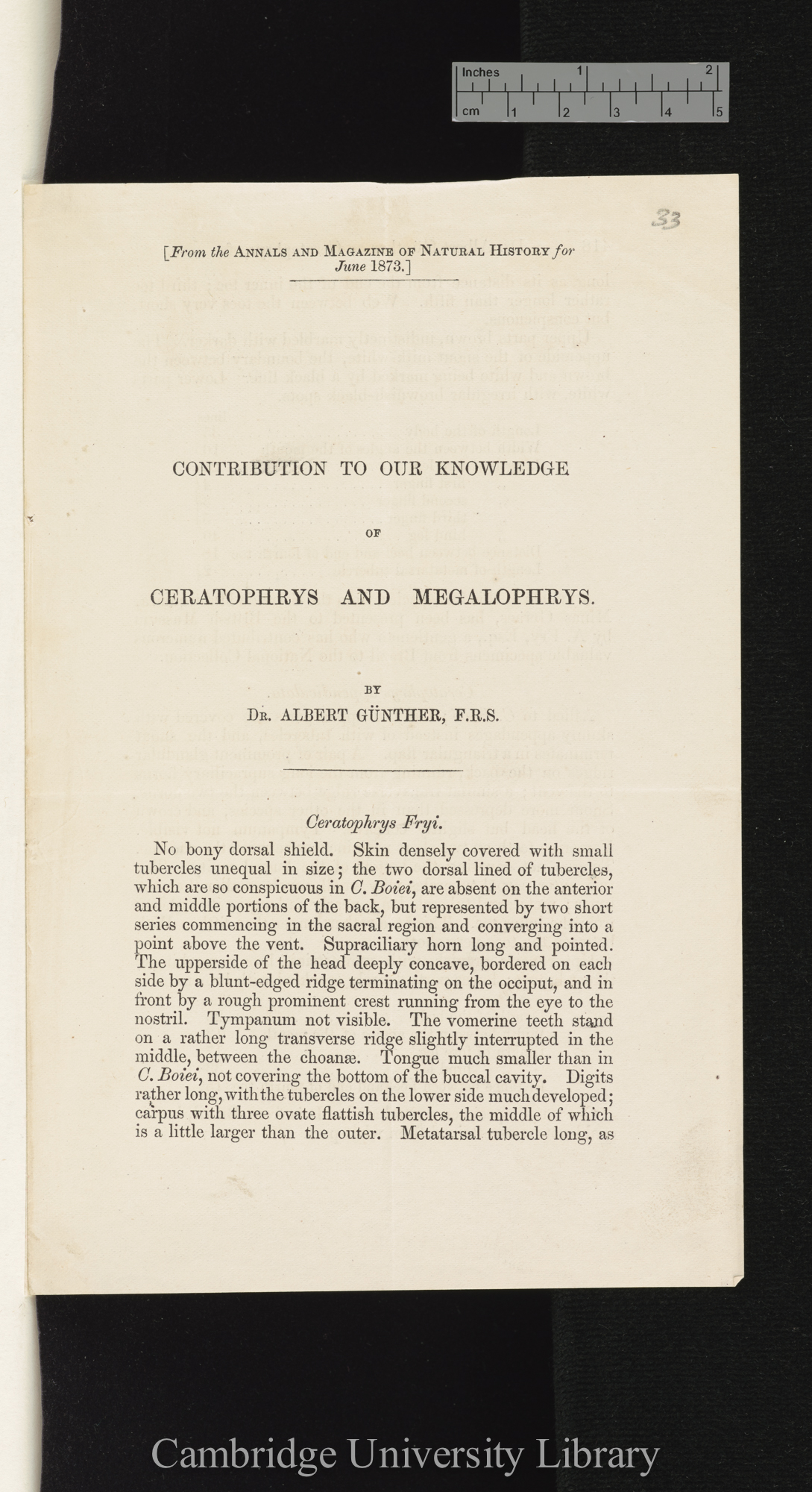 Günther, Albrecht Carl Ludwig Gotthilf &#39;Albert&#39;. Contribution to our knowledge of Ceratophrys and Megalophrys &#39;Annals and Magazine of Natural History&#39; 11: 417