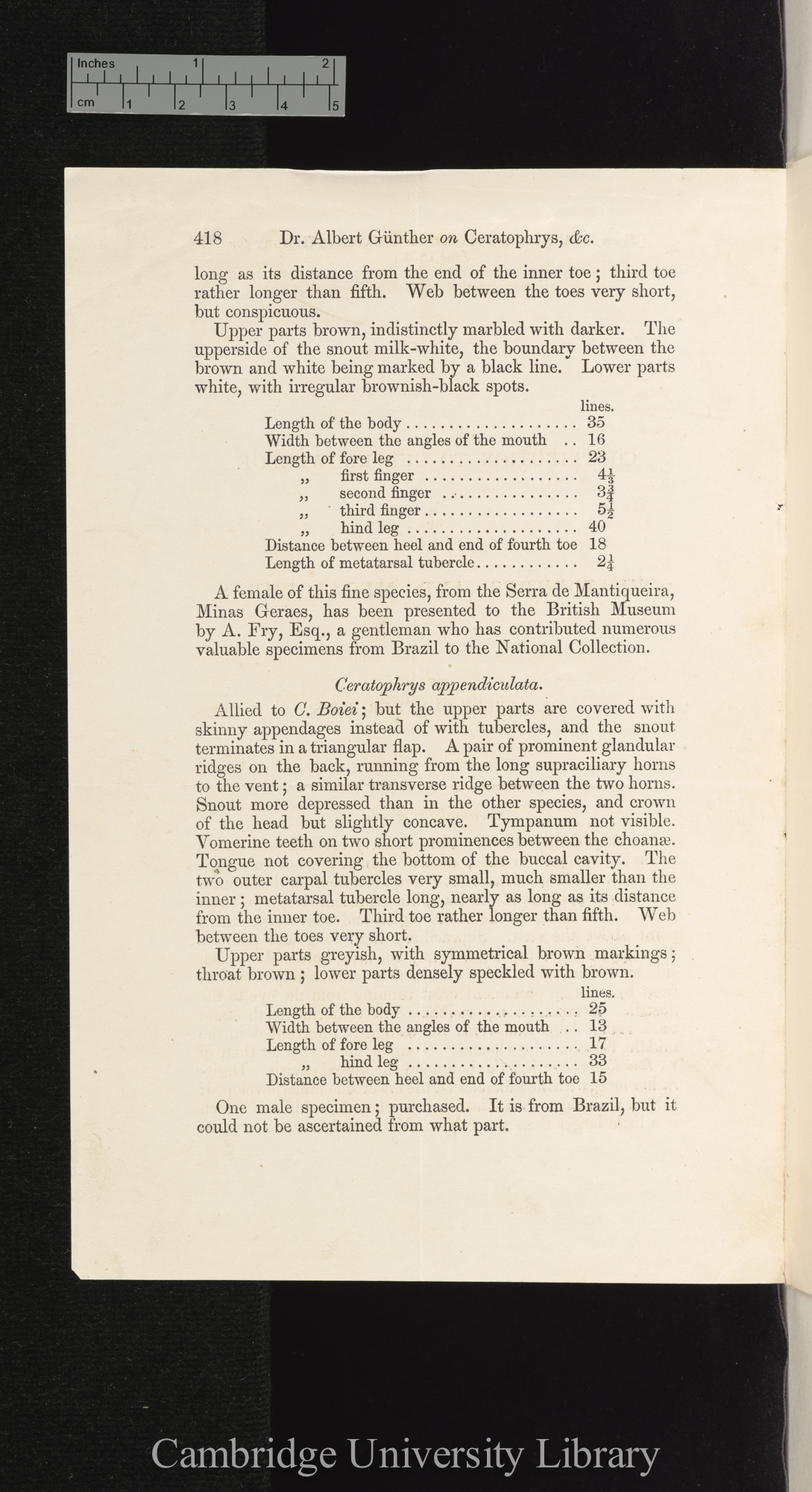 Günther, Albrecht Carl Ludwig Gotthilf &#39;Albert&#39;. Contribution to our knowledge of Ceratophrys and Megalophrys &#39;Annals and Magazine of Natural History&#39; 11: 418