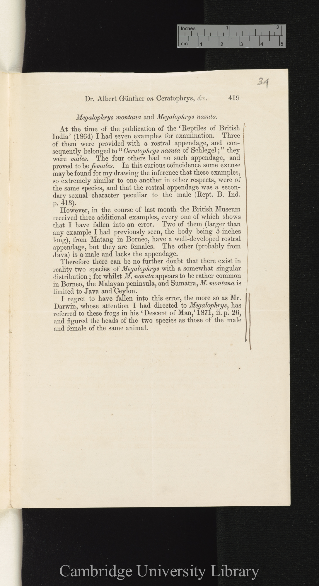 Günther, Albrecht Carl Ludwig Gotthilf &#39;Albert&#39;. Contribution to our knowledge of Ceratophrys and Megalophrys &#39;Annals and Magazine of Natural History&#39; 11: 419