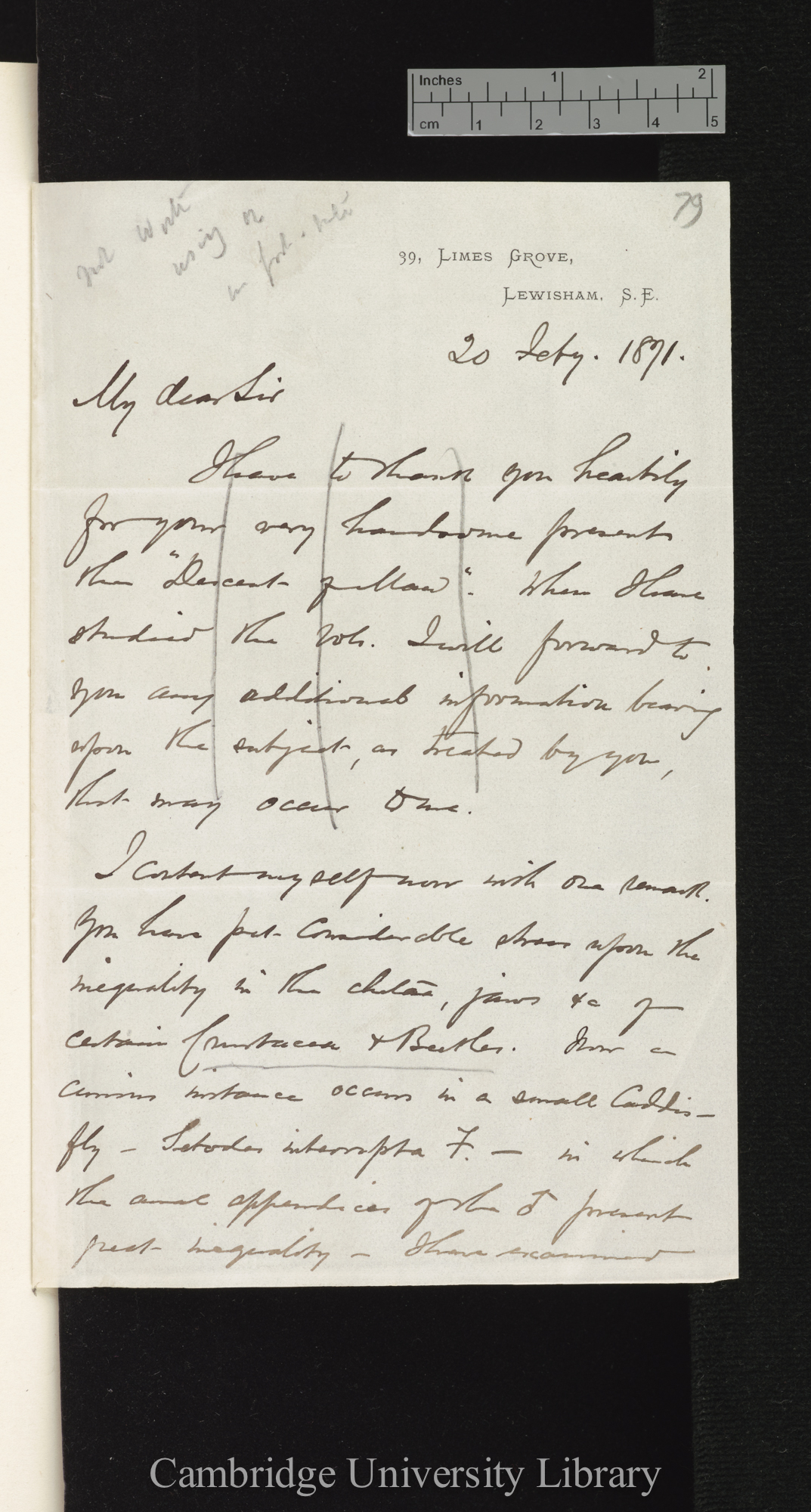 Robert McLachlan to Charles Robert Darwin