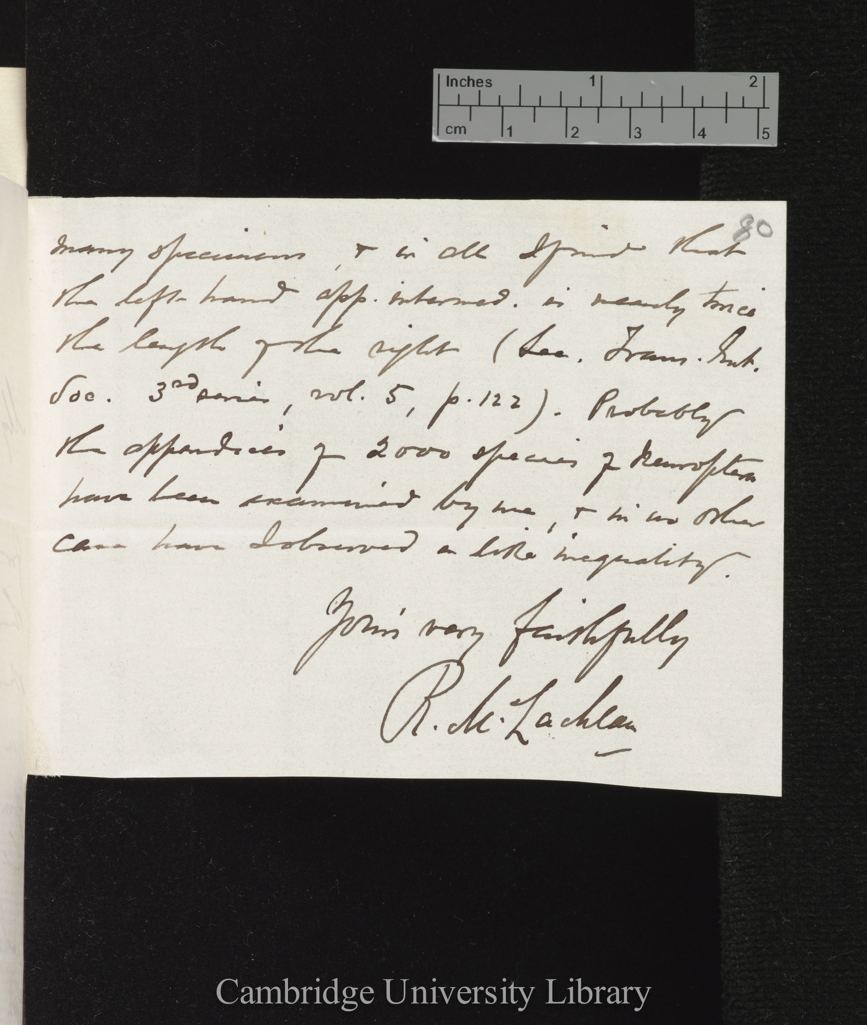 Robert McLachlan to Charles Robert Darwin