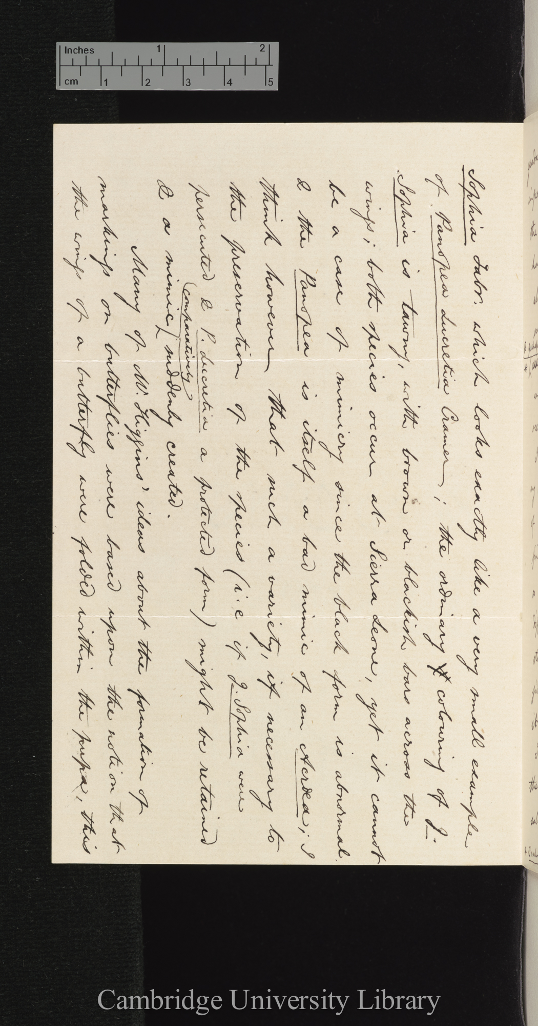 Arthur Gardiner Butler to Charles Robert Darwin