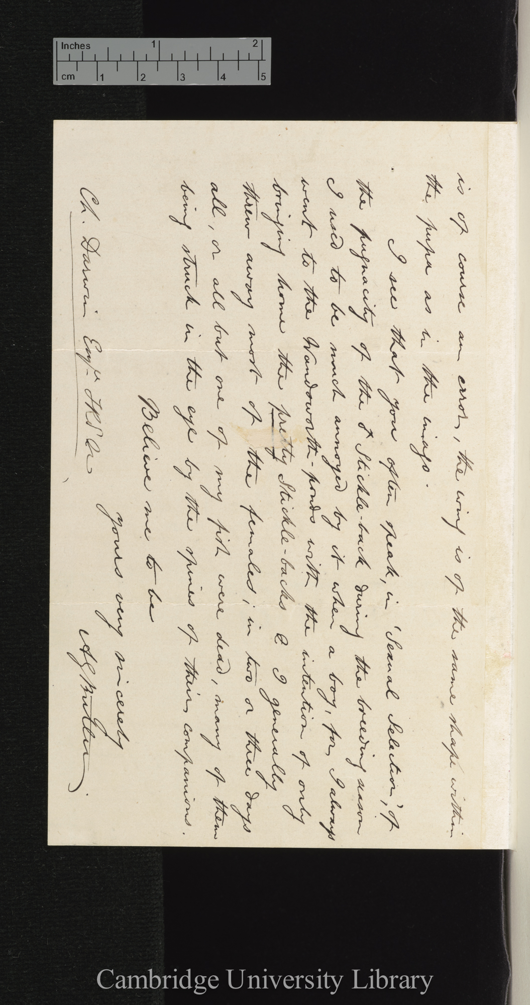 Arthur Gardiner Butler to Charles Robert Darwin