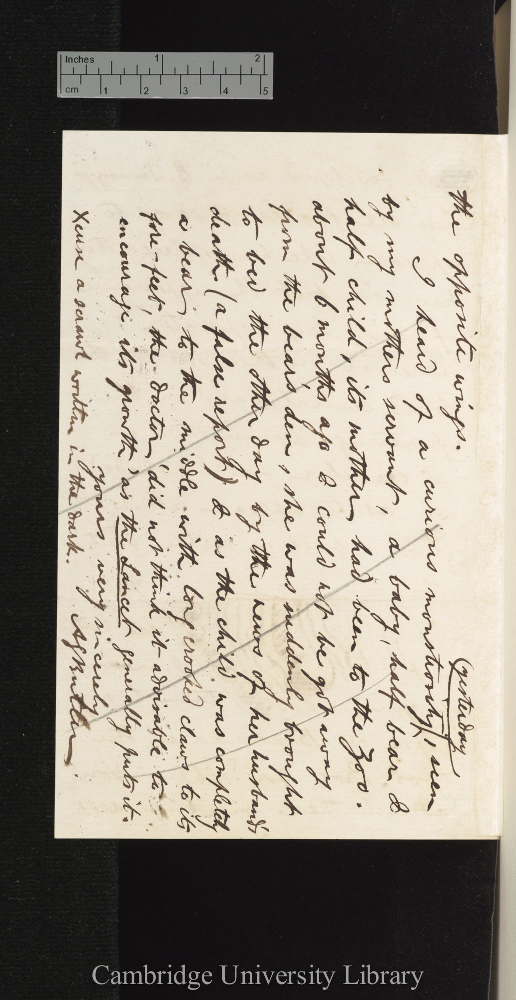 Arthur Gardiner Butler to Charles Robert Darwin