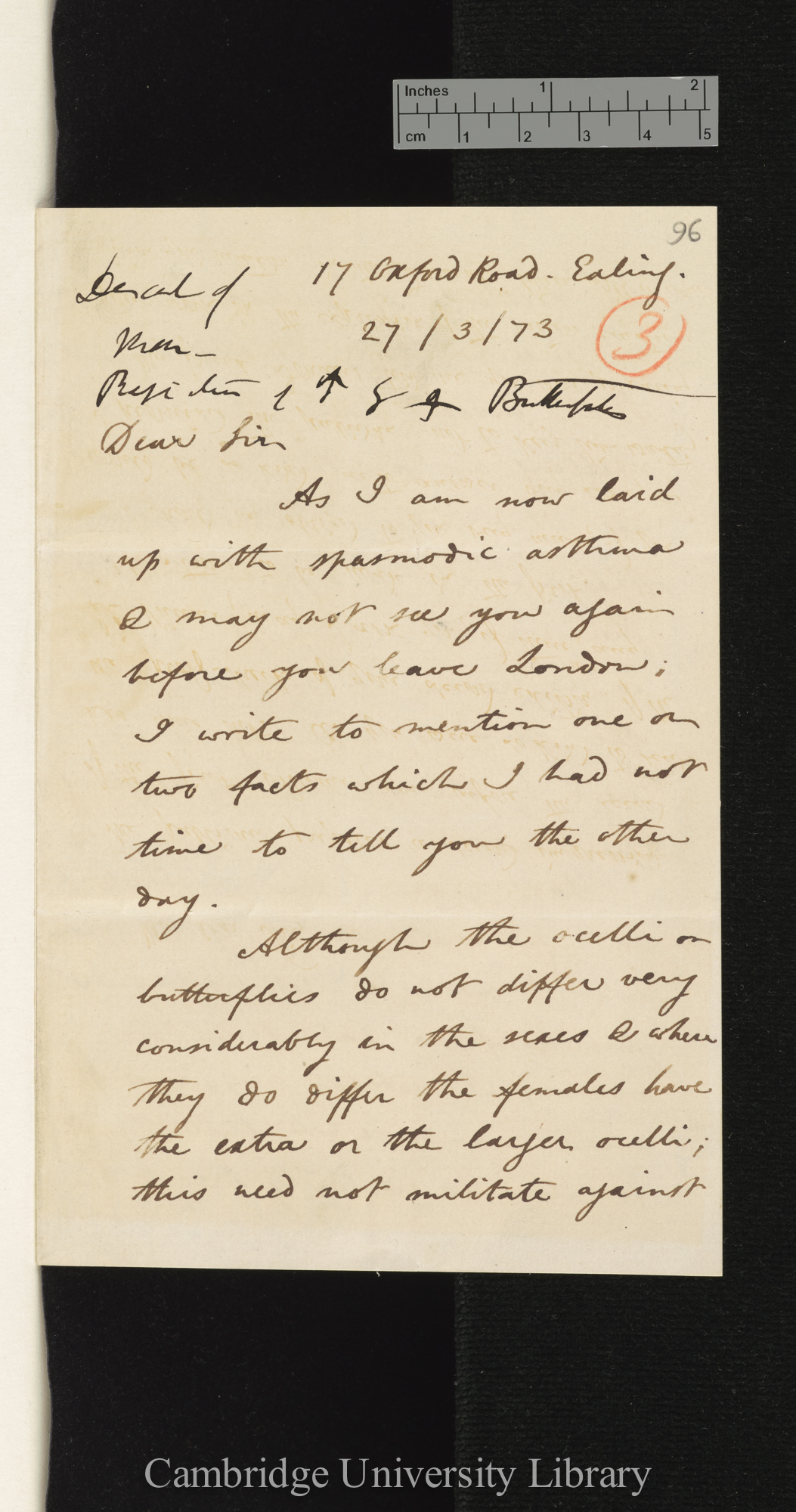 Arthur Gardiner Butler to Charles Robert Darwin