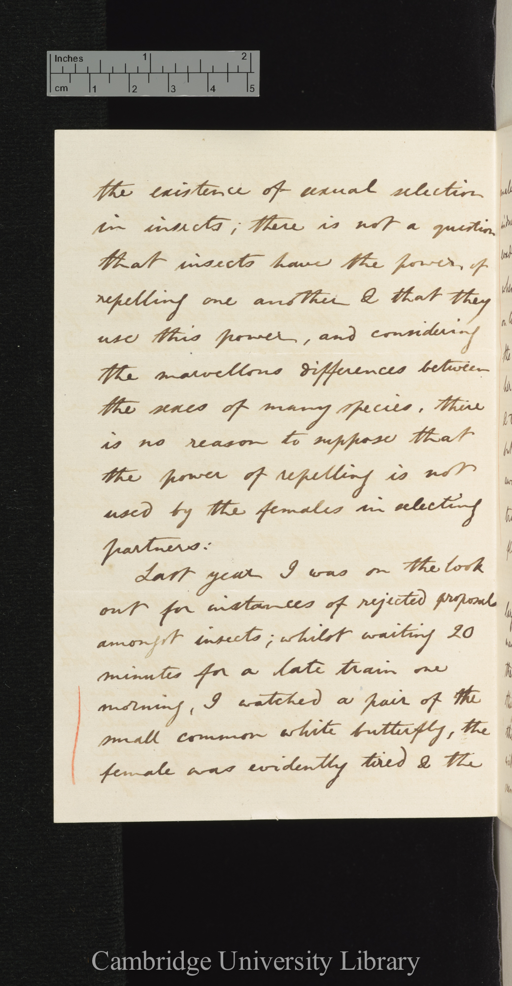 Arthur Gardiner Butler to Charles Robert Darwin