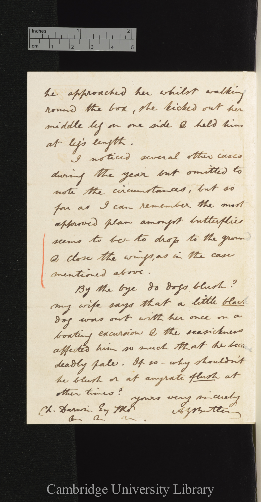 Arthur Gardiner Butler to Charles Robert Darwin