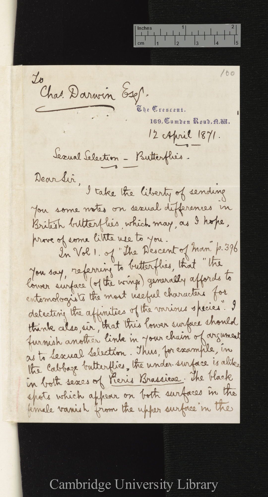 George Fraser to Charles Robert Darwin