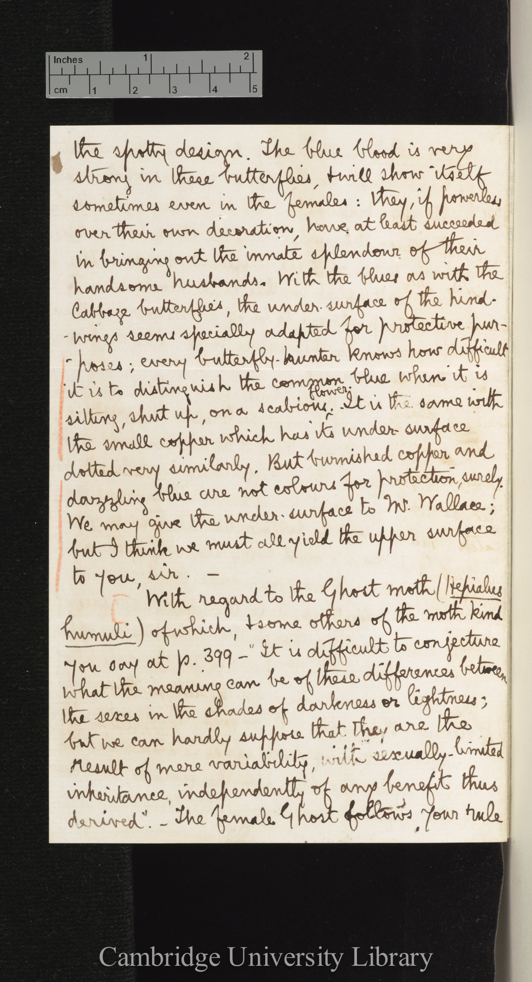 George Fraser to Charles Robert Darwin