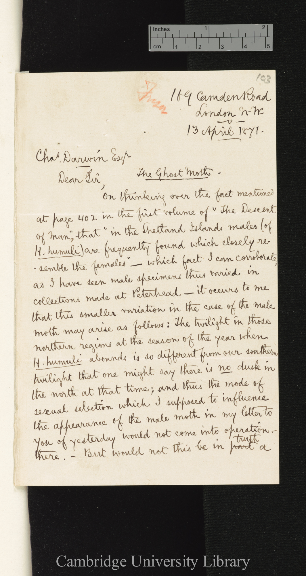 George Fraser to Charles Robert Darwin