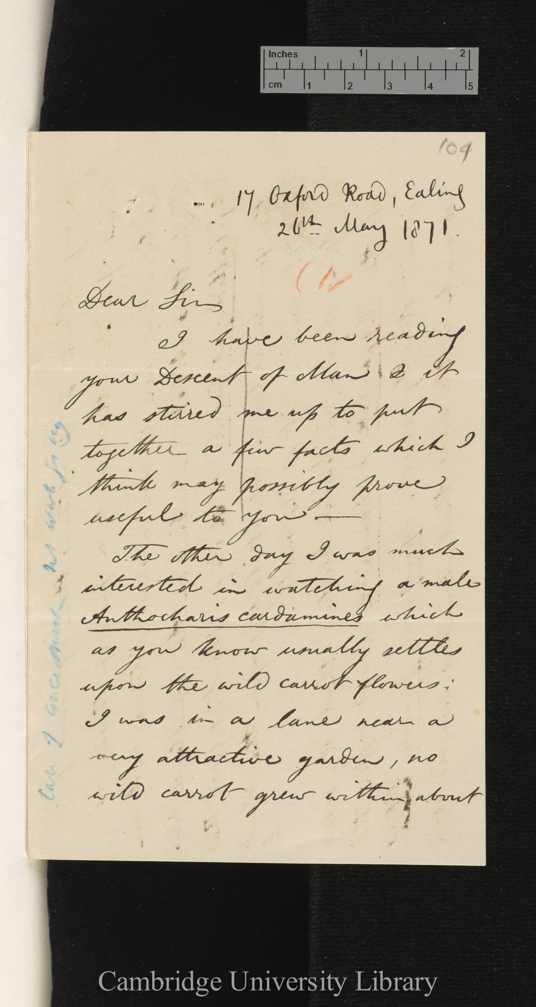 Arthur Gardiner Butler to Charles Robert Darwin