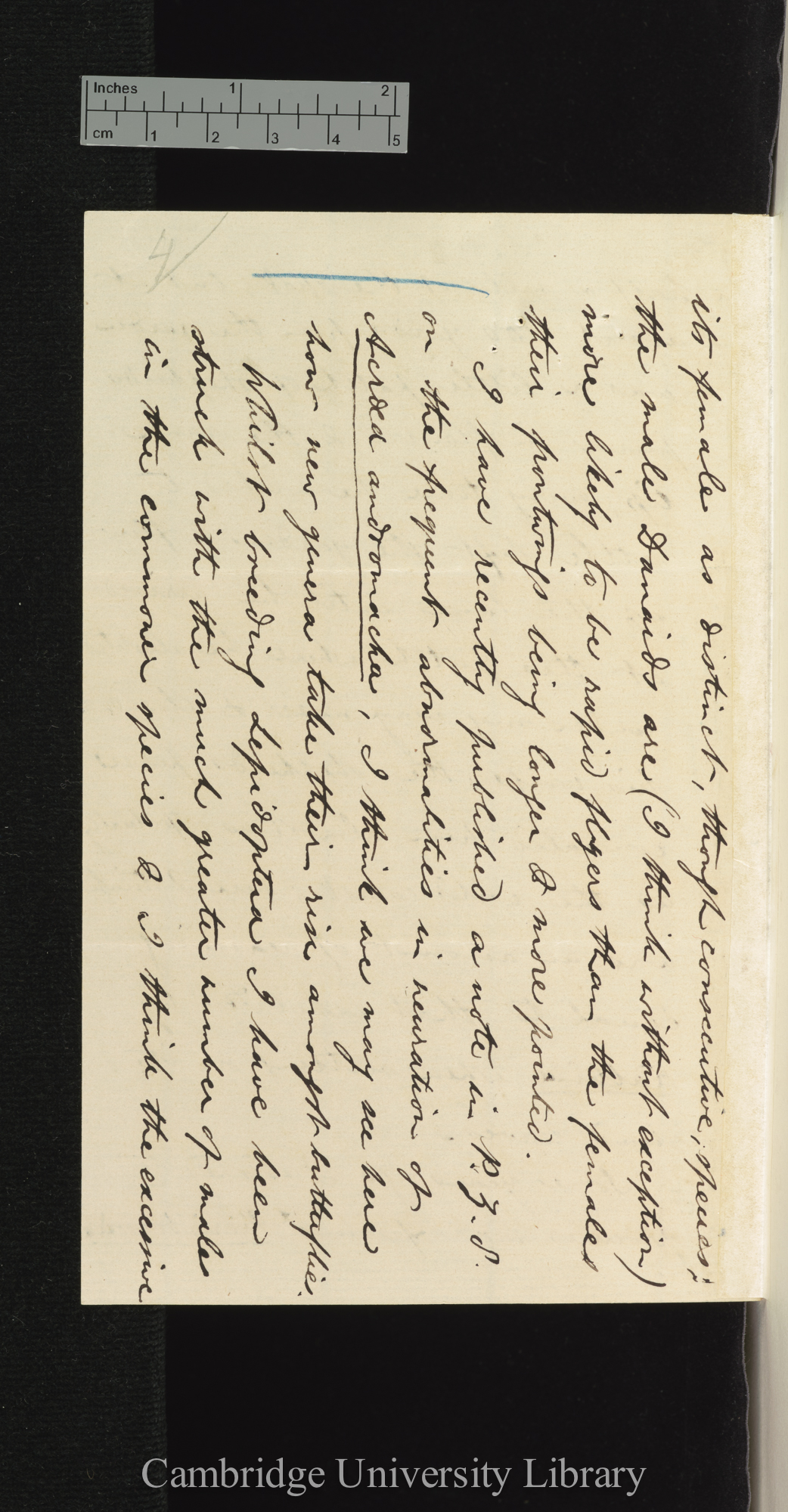 Arthur Gardiner Butler to Charles Robert Darwin