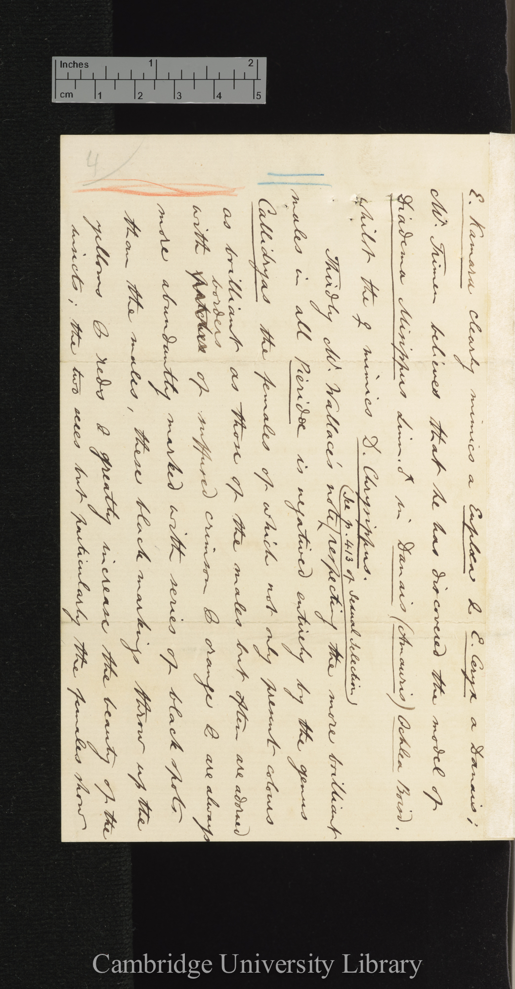 Arthur Gardiner Butler to Charles Robert Darwin